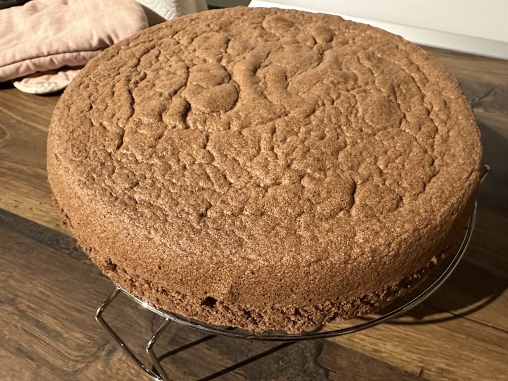 Recept za vanilijeve in kakavove torte - slastne, puhaste in preproste!